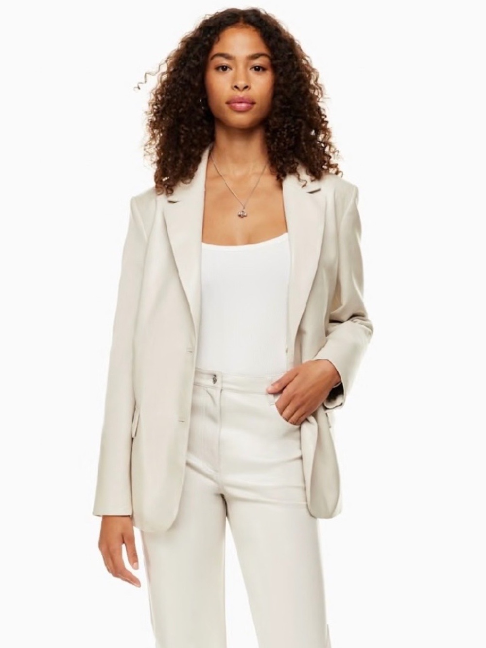 Aritzia Wilfred Memories Blazer
